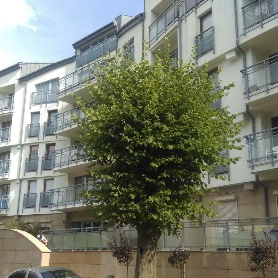 Apartament Flauta, Villa Marea Miedzyzdroje Buitenkant foto